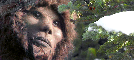 Sasquatches Are People Too